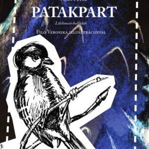 Vajda Péter: Patakpart - Lélekmosó balladák